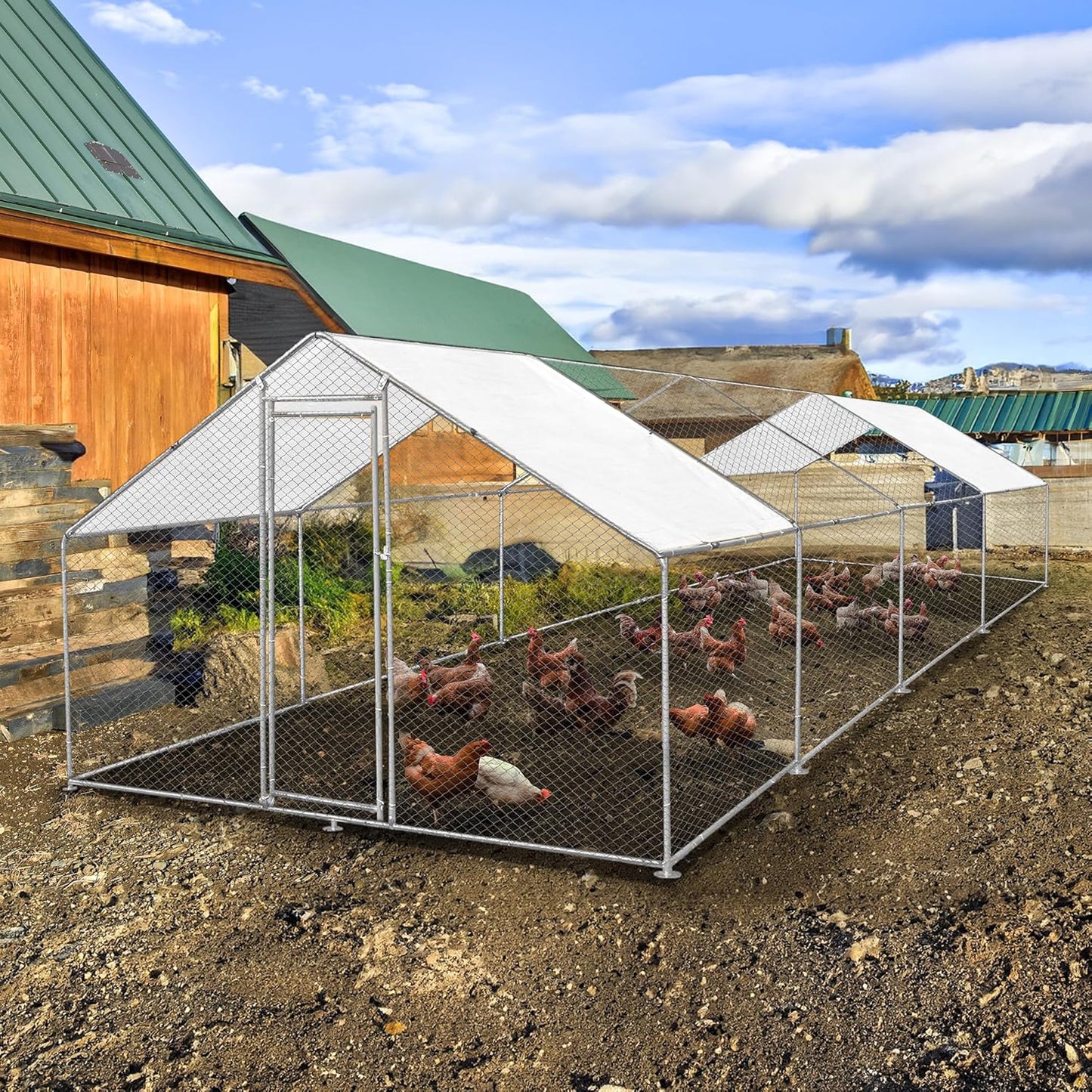 Freestanding Chicken coop Chicken coop Chicken enclosure 4m x 8m x 2m Free roof covers and feeding scoop - QUORE