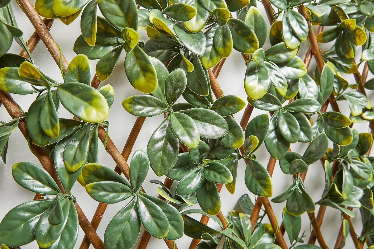 Bayberry decoratieve weerbestendige inkijkbescherming voor tuin en balkon - in grootte verstelbaar en geluidsisolerend 100 x 200 cm
