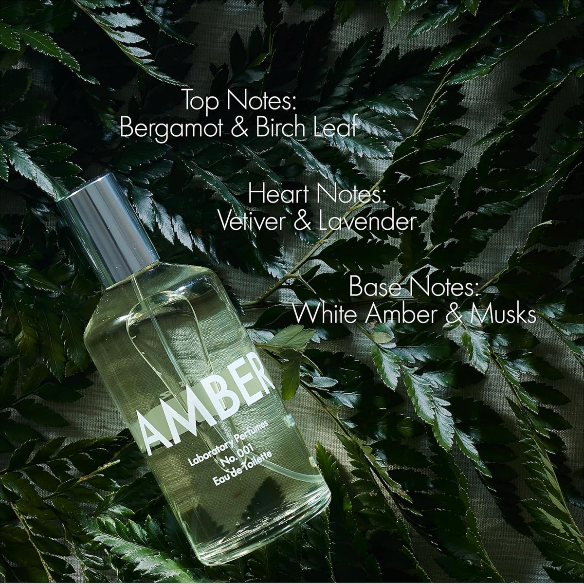 Amber Eau de Toilette – Parfum – Geur – Toiletwater – Unisex – 100 ml – Fris Groen En Warme Amber