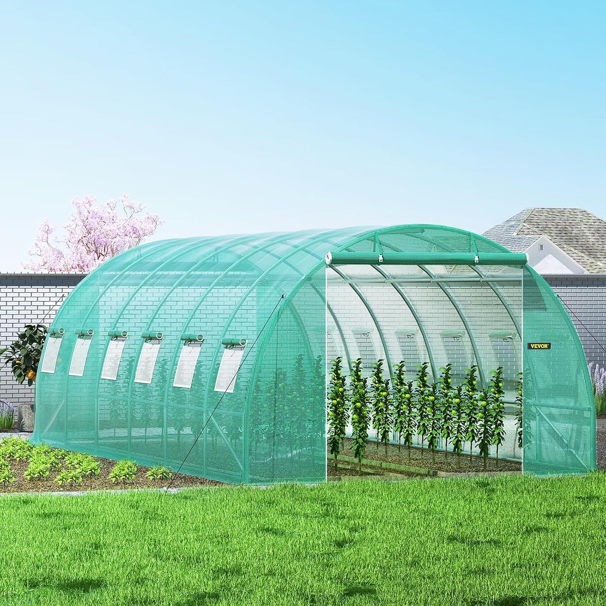 VEVOR Arched roof greenhouse 6.1 x 3 x 2.1 m film greenhouse galvanised steel frame and PE tarpaulin greenhouse tunnel waterproof and UV-resistant tomato greenhouse ideal for growing vegetables flowers