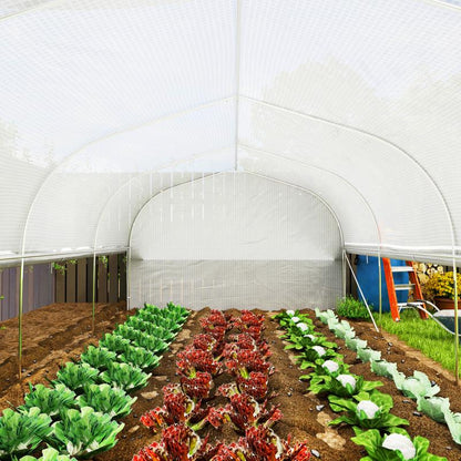 Kweektunnel – Kweekkas – Tuintunnel – Broeikas – Plantentunnel – 6x3x2 Meter – UV-bestendig Plastic Zeil – Gegalvaniseerd Stalen Frame