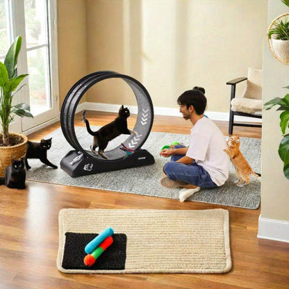 Renrad Voor Katten – Kattenwiel – Loopwiel Kat – Kat Looprad – Kat Fitnessapparaat – Extra Groot 80 cm – Duurzaam Acryl Met Antislip