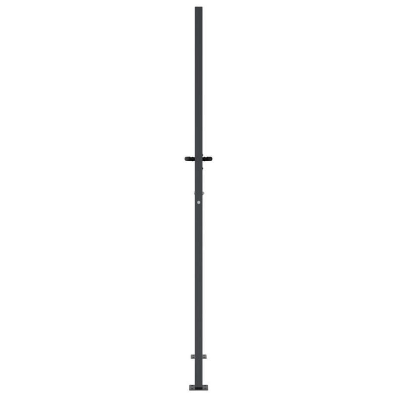 Tuinpoort – Toegangspoort – Sierpoort – Hek – Poortpaneel – Antraciet Staal – Grass Design – Weerbestendig – 105x205 cm