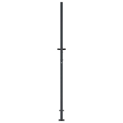 Tuinpoort – Toegangspoort – Sierpoort – Hek – Poortpaneel – Antraciet Staal – Grass Design – Weerbestendig – 105x205 cm
