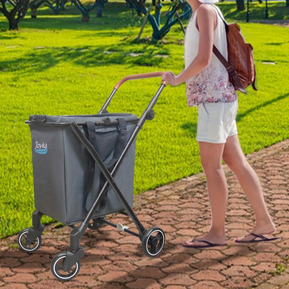 Boodschappenwagen – Boodschappentrolley – Boodschappentas – Winkeltrolley – Winkelwagen – 70 Liter Inhoud – Opvouwbaar Met Draaibare Voorwielen – Verstelbaar Handvat