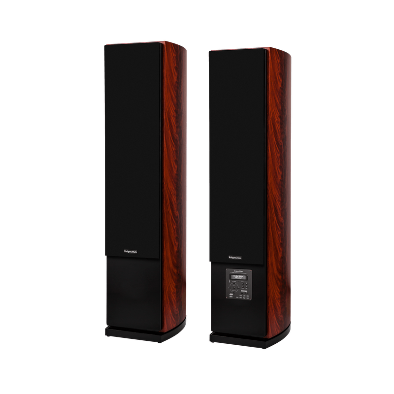 Professionele Actieve Luidspreker 200 W – 2-weg Stereo Verzingsysteem (BT 200W Active Speakers)
