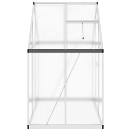 Aluminium Kas – Tuinkas – Plantenkas – Mini Kas – Buiten Kas – Silbern – Weerbestendig Aluminium Frame – 169x114x195 cm Met Fundering