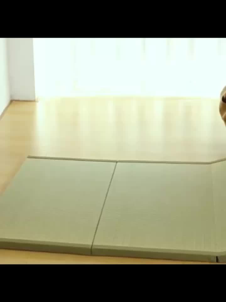 Tatami Mat – Opvouwbare Mat – Futon Mat – Yogamat – Crawling Mat – 200x75x3,5 cm – Natuurlijk Gras – Vochtregulerend & Antislip