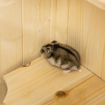 Hamsterkooi – Knaagdierskooi – Kleine Dierenkooi – Houten Kooi – Rodent Kooi – Vijf Niveaus Met Trappen – Groot Formaat 60x40x120 cm