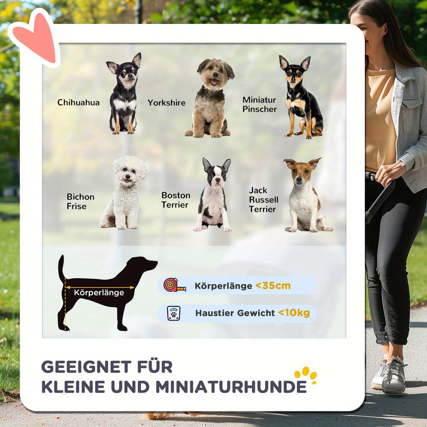 Hondenmand – Hondenwagen – Draagtas – Hondenkussen – Dierenmand – 2-in-1 Opvouwbaar – Oxford Stof Met Veiligheidsharnassen