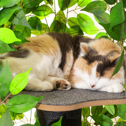 Krabpaal – Kattenboom – Kattenhuis – Kattentoren – Krabmeubel – Multi-level Design – Duurzaam Vezelplaat – Natuurinspiratie Groen