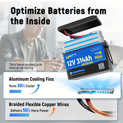 Batterij – Accu – Stroombron – Energieopslag – LiFePO4 – 12V 314Ah – Diepe Cyclusgeschikt – Ingebouwd 200A BMS