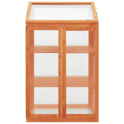 Kas – Kweekkas – Plantenkas – Tuinkas – Serre – 60x45x100 cm – Duurzaam Dennenhout