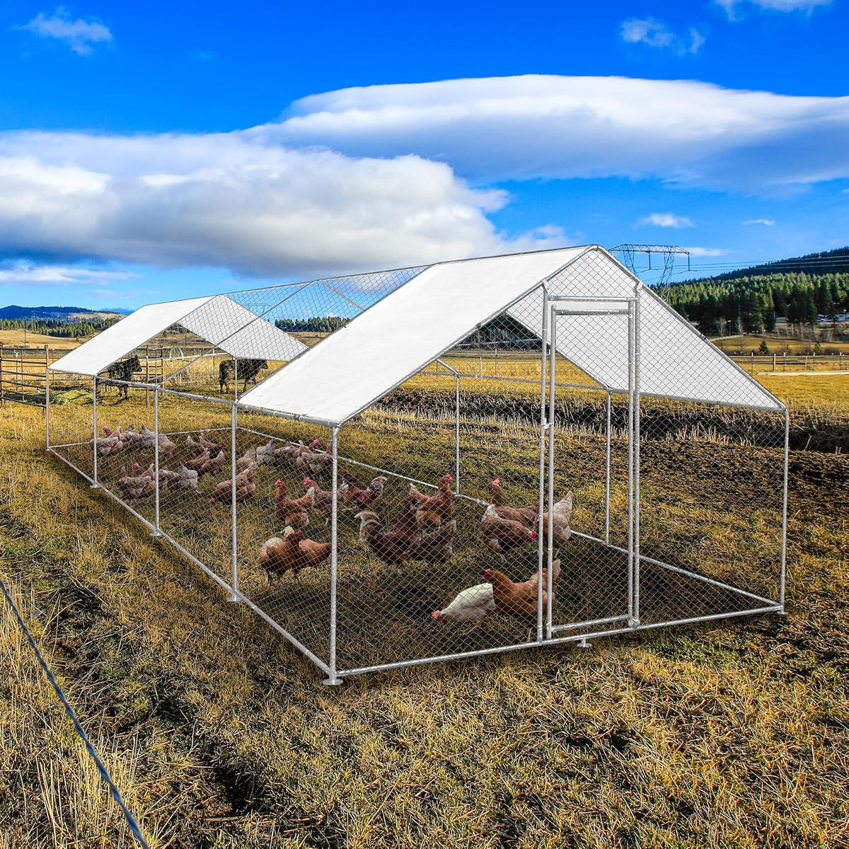Freestanding Chicken coop Chicken coop Chicken enclosure 3m x 8m x 2m Free roof covers and feeding scoop - QUORE