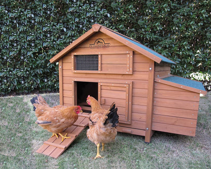 Pets Imperial Savoy Large Chicken Coop Single Nest Box Holds Up to 4 to 6 Birds Depending on Size - QUORE