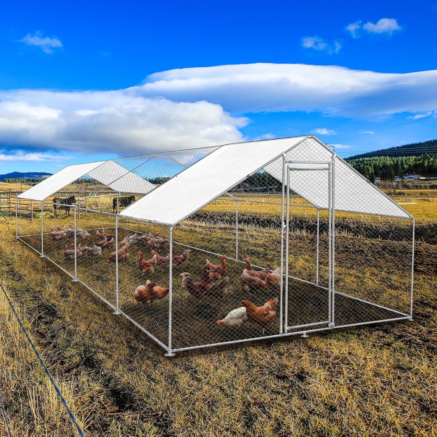 Freestanding Chicken coop Chicken coop Chicken enclosure 4m x 8m x 2m Free roof covers and feeding scoop - QUORE