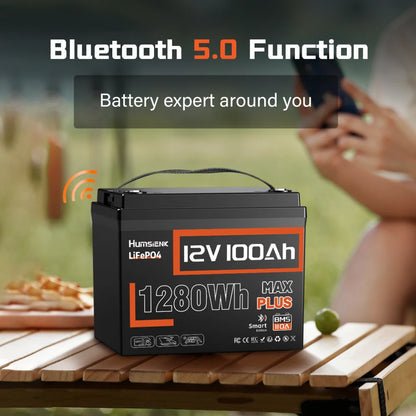 Accu – Batterij – LiFePO4 Accu – Lithium Accu – Powerbank – 12V 100Ah Capaciteit – Smart BMS Met Bluetooth