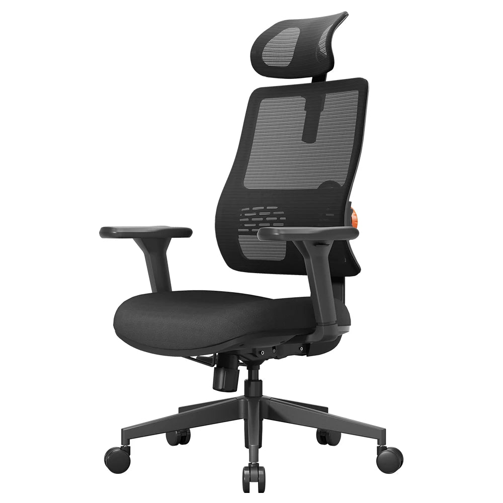 NEWTRAL MAGICH003 Ergonomic Chair, 3 Positions to Lock, Auto-Following Backrest,Adaptive Lower Back Support, 3D Armrest Recliner - QUORE