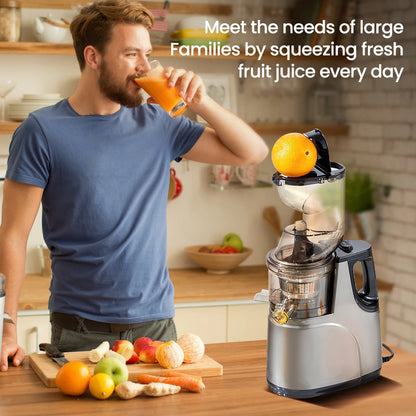 Slowjuicer - Sapcentrifuge - Cold Press Juicer - 800W - 12000RPM - Grote Vulopening - 50 dB - Masticating Juicer - Voor Groenten en Fruit - QUORE