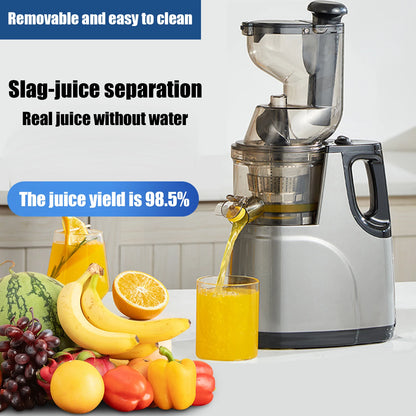 Slowjuicer - Sapcentrifuge - Cold Press Juicer - 800W - 12000RPM - Grote Vulopening - 50 dB - Masticating Juicer - Voor Groenten en Fruit - QUORE