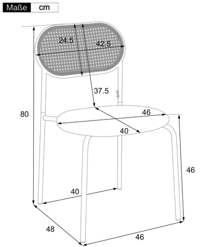 Eetkamerstoelen – Stoelen – Zitstoelen – Set – Metalen Poot – PU-Zitting – Ergonomisch Design