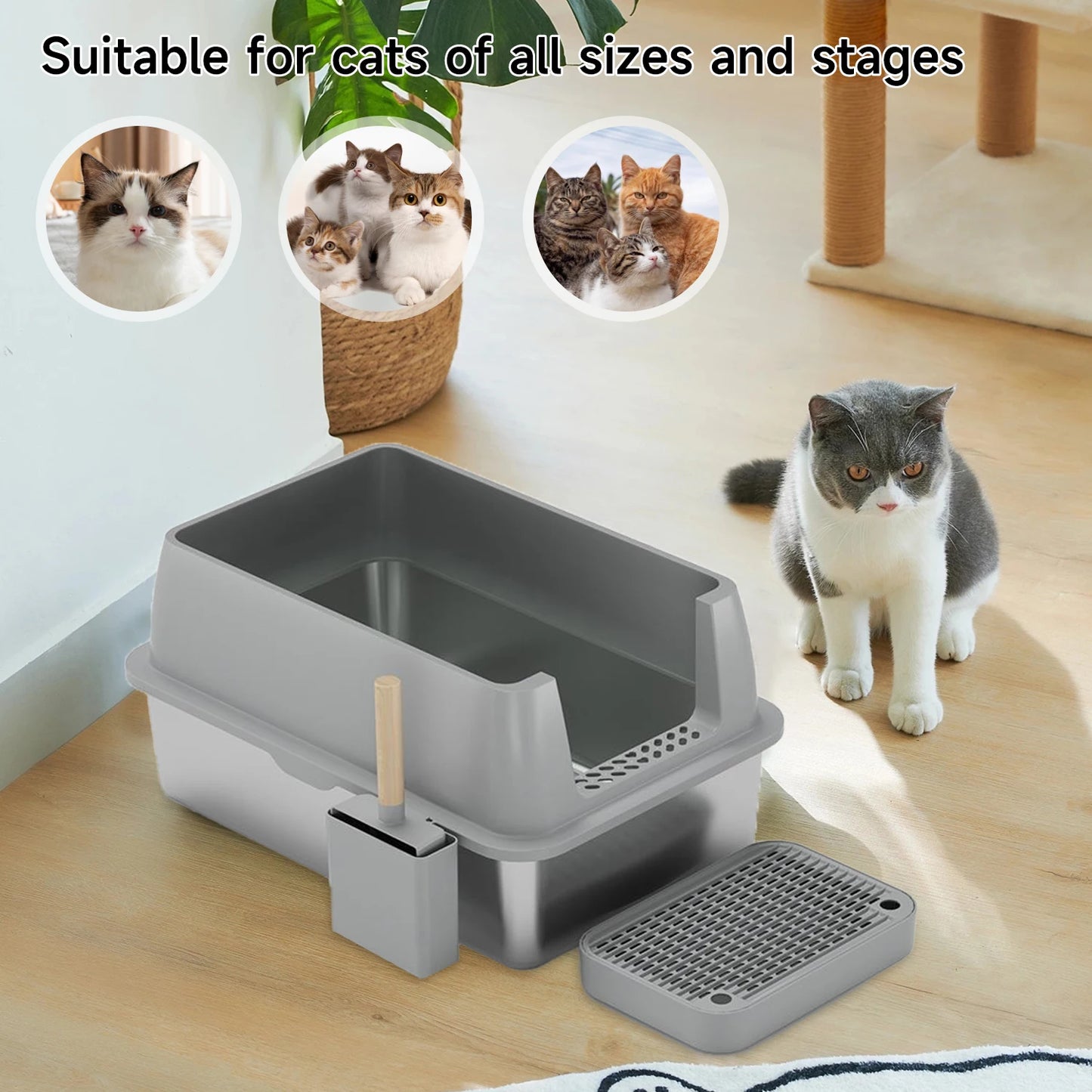 Kattenbak - Extra Grote - RVS - met Hoge Zijkanten - Open Type - Geurvrij en Duurzaam - Grote Katten - Meerdere Katten - Grijs