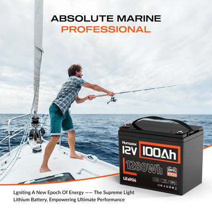 Li-ion Accu – Lithium Batterij – LiFePO4 Accu – Camper Accu – Solar Accu – 12V 350Ah Capaciteit – Ingebouwd BMS Met 6000 Levenscycli