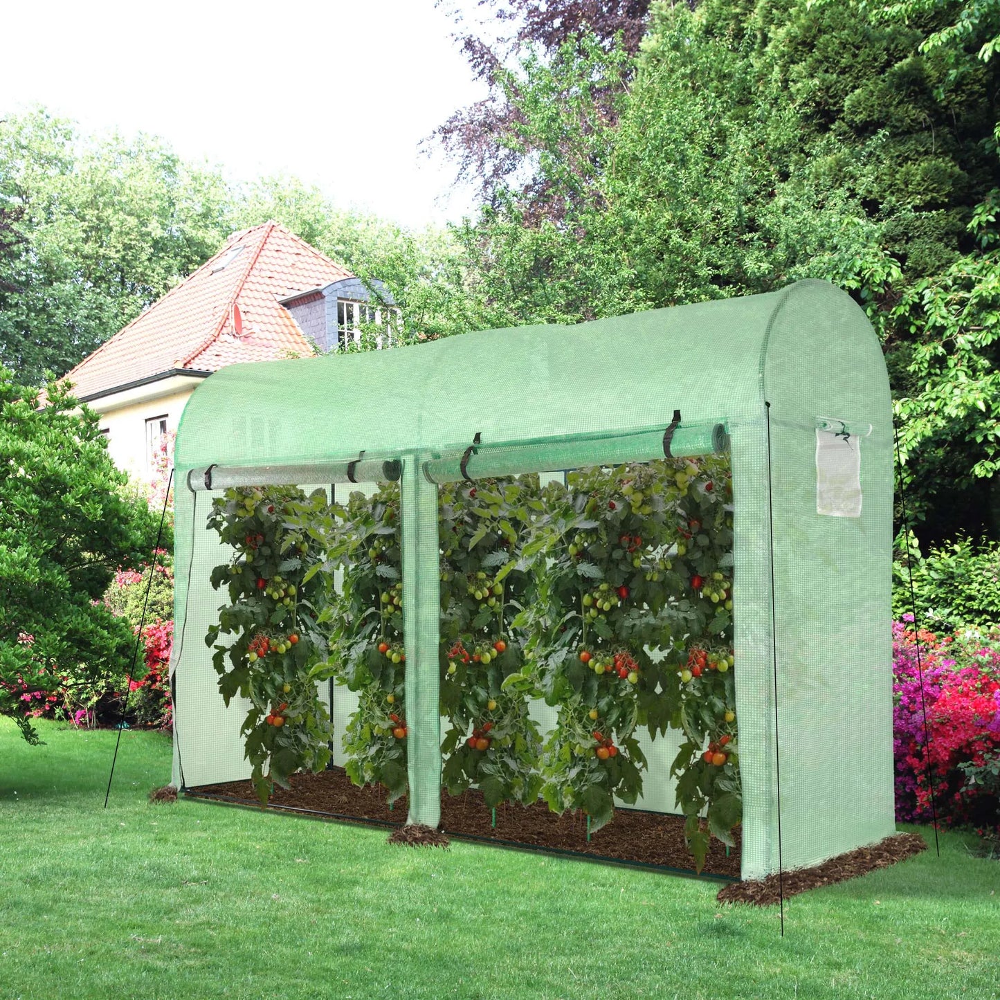 Tuinkas - Tunnelkasje - Tuinserre - 300x100x200 cm - Weerbestendige Foliekas -  met 4 Vensters & 2 Rolk deuren - Voor Groenten & Planten - Stevige constructie - QUORE