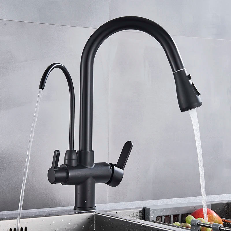 Keukenkraan - met Uittrekbare Uitloop - Twee Handgrepen - voor Koud -Vuistdouche - Warm Water - Drinkwater - Zwart en Chroom