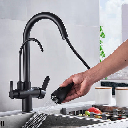 Keukenkraan - met Uittrekbare Uitloop - Twee Handgrepen - voor Koud - Warm Water - Vuistdouche - Drinkwater - en Keukenmixers - Zilver
