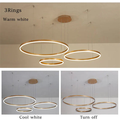 Minimalistische Moderne LED Chandelier - Strakke Cirkelvormige Plafondlamp - Verstelbare Hanglamp voor Woonkamer - Tijdloze Brushed Design Verlichting - QUORE