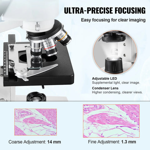 Vevor - Digital microscope - Lab microscope - Compound binocular microscope - 40X-2500X - with LED illumination - Metal base - White