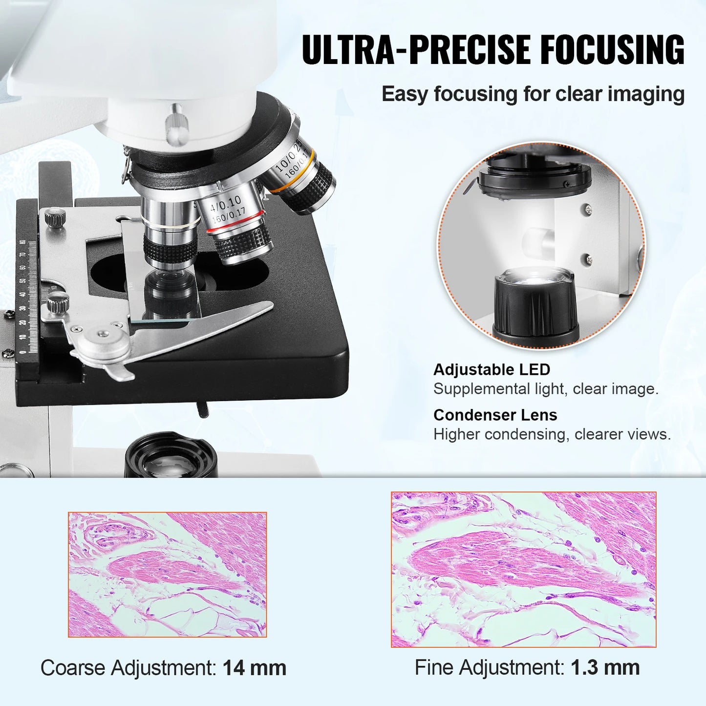 Trinoculaire Microscoop – Biologisch Microscoop – Laboratorium Microscoop – Onderzoeks Microscoop – Vergroting 40x Tot 5000x – Verstelbare LED-Verlichting – Preciese Scherpstelling - QUORE