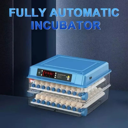Broedmachine – Eierbroeder – Incubator – Kuikenbroedmachine – Automatische Temperatuurregeling – Verstelbare Eiertray – ABS Kunststof – 12V/220V Dual Power