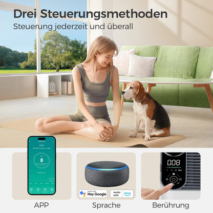 2 in 1 - Luchtreiniger – Luchtbevochtiger – Air Purifier – Luchtfilter – Compact – Stil Tot 35 dB – Geschikt Voor 21-30 m² - 80W - 120V