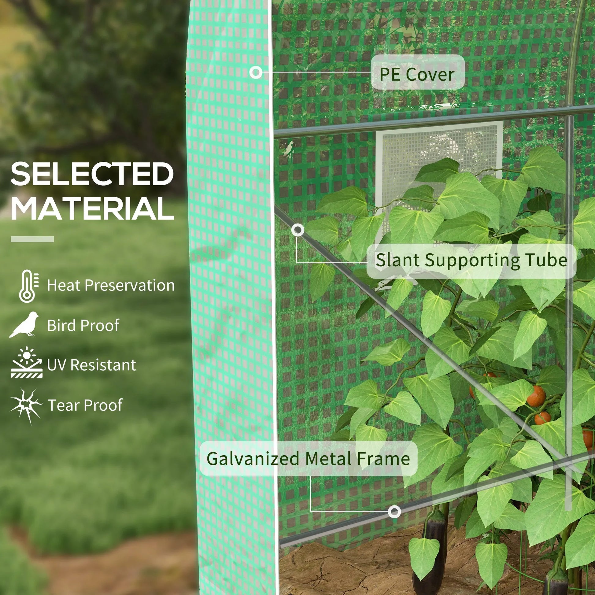 Ruimtelijke Kweekkas – Serre – Plantenkas – Groentekas – Moestuin Kas – Wit – Metalen Frame – 8 m² – Oproldeur en Ramen - QUORE
