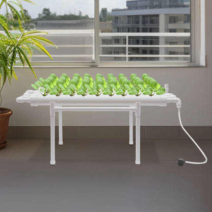 Hydrocultuur - Hydrocultuursysteem - Hydrocultuur - Kweeksysteem - 36 plaatsen 1 laag - Groenteplantenteelt gereedschap beugel - voor tuin- Wit