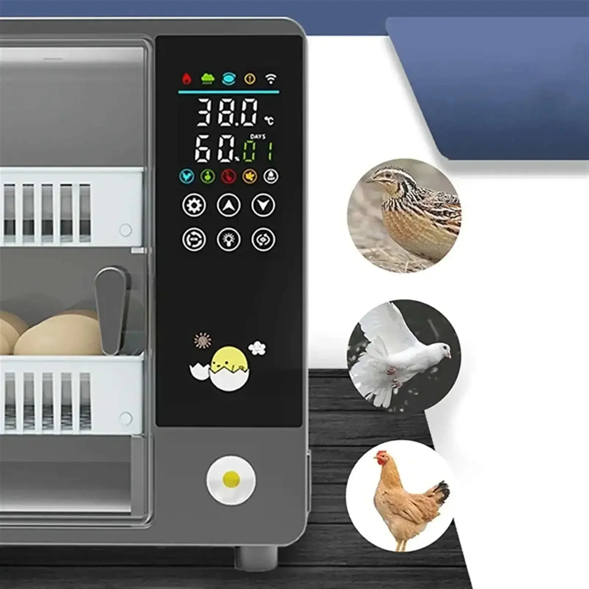 Broedmachine – Incubator – Eierbroedmachine – Kuikenbroeder – Broedkast – Automatisch Draaien – Precisie Vochtigheidscontrole – Duurzaam Plastic – 220V 55W