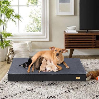Hondenbed - Kussen - Wasbare - met Waterdichte Hoes -Orthopedische - Comfortabel & Stevig - 2-in-1 Ontwerp - Antislip Bodem - Extra Groot Formaat