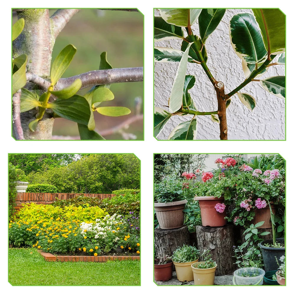 Elektrische Snoeischaar - Takkenschaar - Takkenzaag - Snoeizaag - Accu - 30MM - Borstelloze - Snijdiameter - met 4 Snelheden - 18V 2x Accu & EU Stekker - voor Fruitbomen en Bonsai