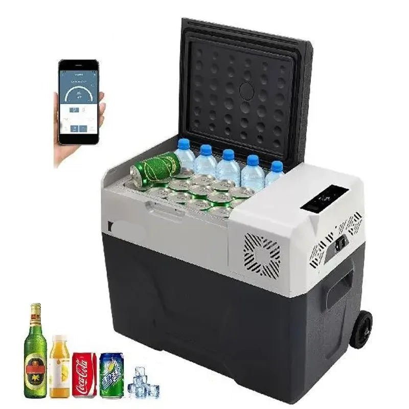 Mini Koelkast - Camping Koelkast - Auto Koelkast - 12V/24V 110-240V - Compressor Koelbox - Minikoelkast Eten & Drinken - 40L - QUORE