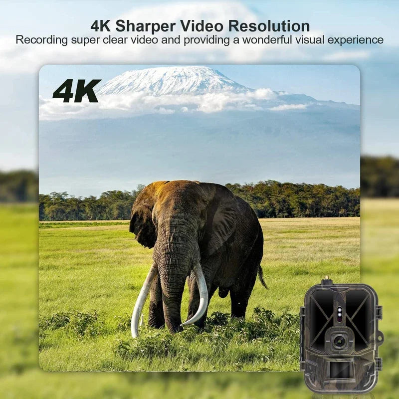 Wildcamera – Trailcamera – Jachtcamera – Wildlife Camera – Buitencamera – 4G Verbinding – 4K Video & 30MP Foto’s