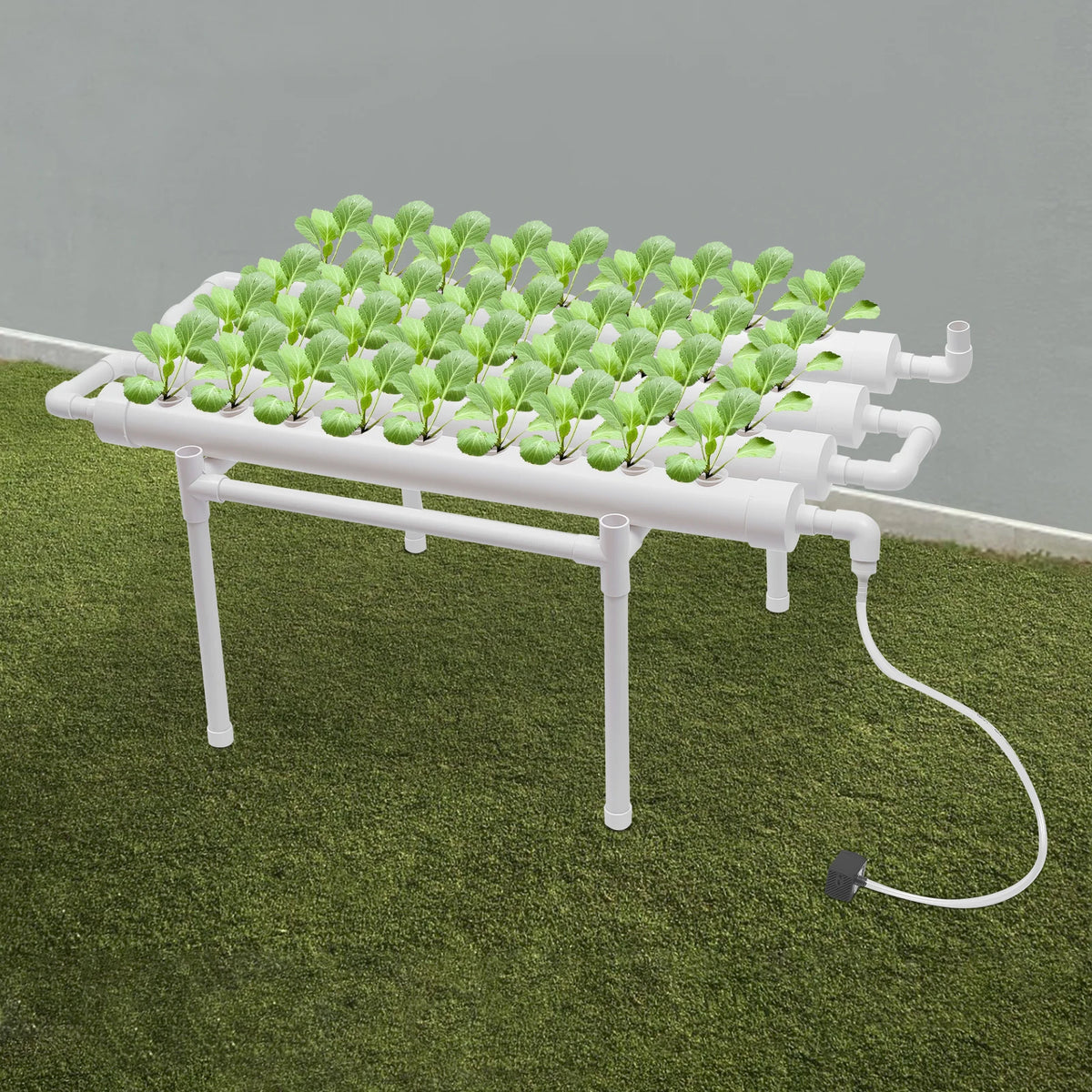 Hydrocultuur - Hydrocultuursysteem - Hydrocultuur - Kweeksysteem - 36 plaatsen 1 laag - Groenteplantenteelt gereedschap beugel - voor tuin- Wit