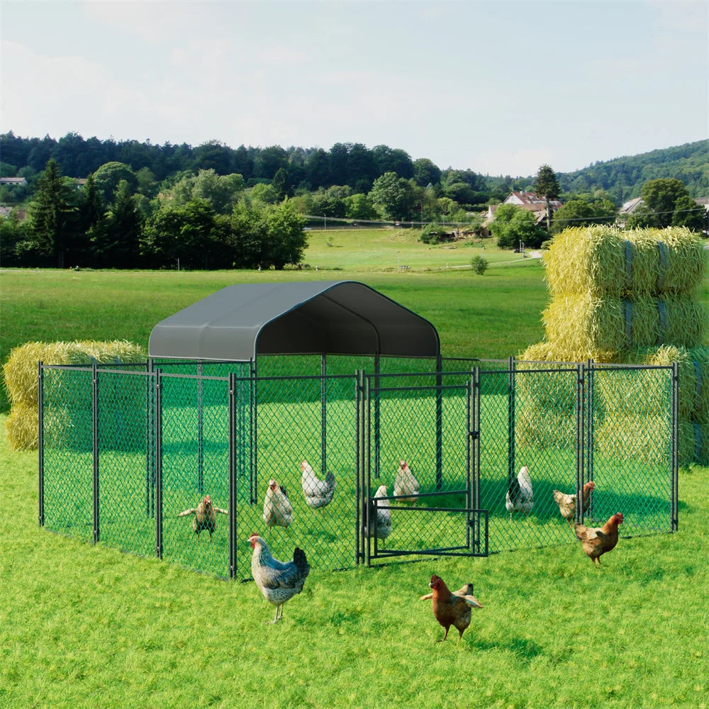 Kippenren – Buitenren – Pluimveerun – Dierenren – Ruime Loopdeur – UV-Bestendig Dak