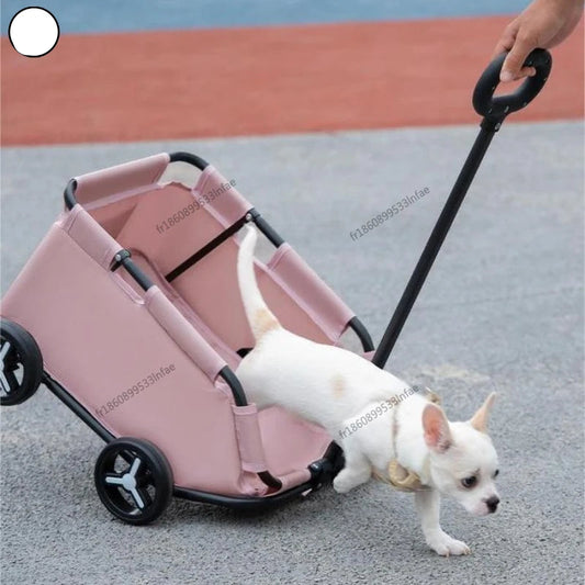 Hondenkar – Hondenbuggy – Hondenfietskar – Dierenkar – Opvouwbare Hondenwagen – Lichtgewicht – Inklapbaar – Voor Kleine Honden – Roze