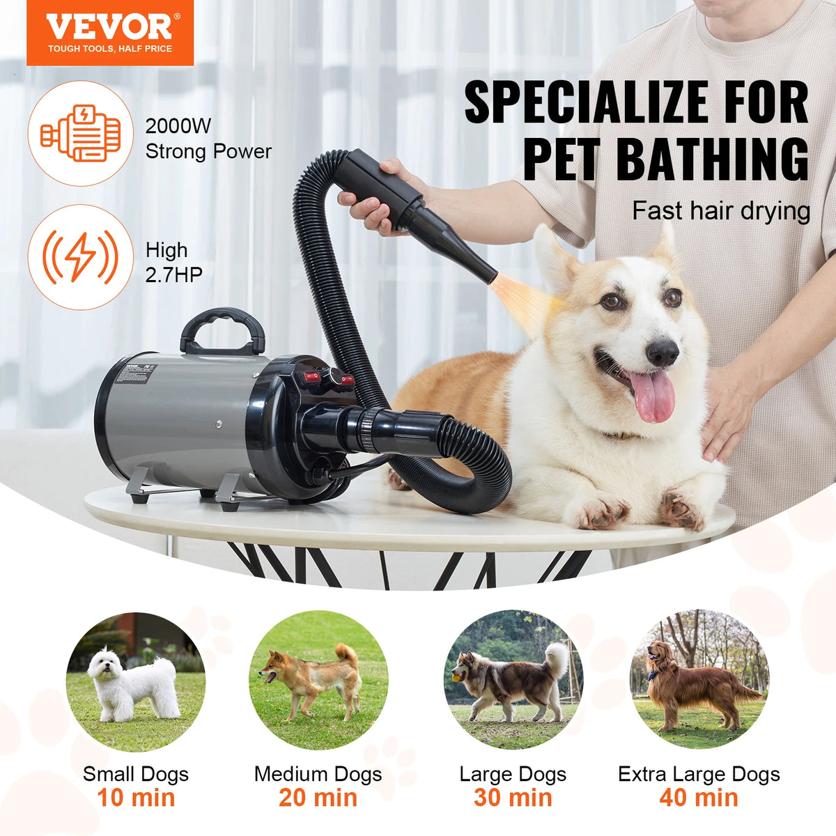 Professionele Hondenfohn - Waterblazer voor Honden - Hondenfohn met 4 Opzetstukken -Stil Design met geluidsdemper - Verstelbaar Vermogen - Zwart - QUORE