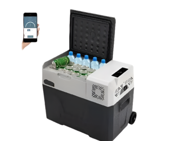 Autokoelkast - Koelbox - Elektrische Koelbox - Compressorkoelkast  - 40L - 12V/24V - Draagbare - Mini Koelkast met Wielen en Uitschuifbaar Handvat - Kleine Koelkast met Diepvriesfunctie - Voor Auto, Caravan, Camping en Boot