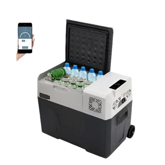 Autokoelkast - Koelbox - Elektrische Koelbox - Compressorkoelkast - 45L - 12V/24V - Draagbare - Mini Koelkast met Wielen en Uitschuifbare Handgreep - Kleine Koelkast - Koelvriesbox - voor Auto, Camper, Camping en Buitenavonturen - QUORE