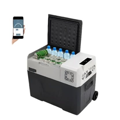 Autokoelkast - Koelbox - Elektrische Koelbox - Compressorkoelkast - 45L - 12V/24V - Draagbare - Mini Koelkast met Wielen en Uitschuifbare Handgreep - Kleine Koelkast - Koelvriesbox - voor Auto, Camper, Camping en Buitenavonturen - QUORE