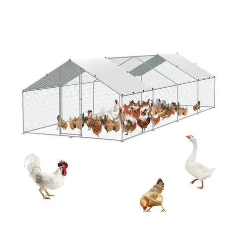 Kippenhok - Metalen Kippenhok - Kippenren - Groot - Inloop Kippenren - 2x3x2m Koepel - voor Buiten Achtertuin Boerderij Pluimveehok